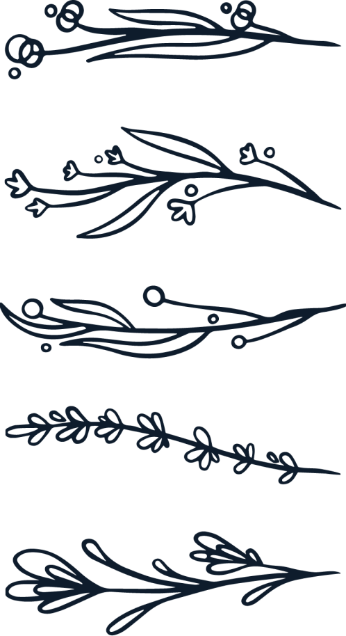 Love-spell-ecommerce-dazze-studio-branding-illustrations-blue | dazze studio