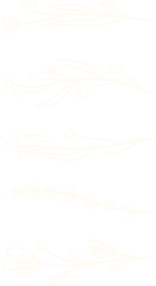 Love-spell-ecommerce-dazze-studio-branding-illustrations-white Love-spell-ecommerce-dazze-studio-branding-illustrations-white | dazze studio