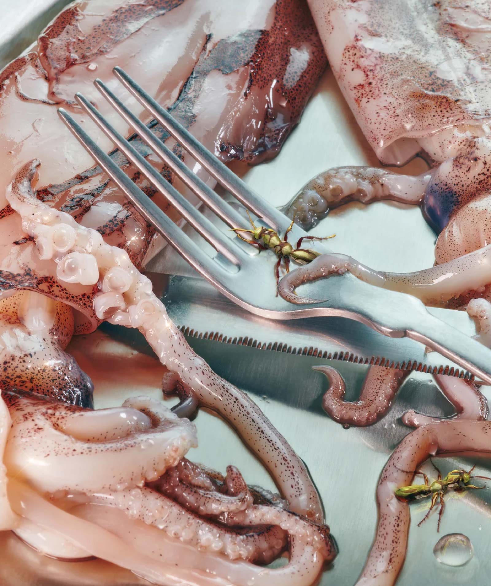 Social commerce strategies | dazze studio