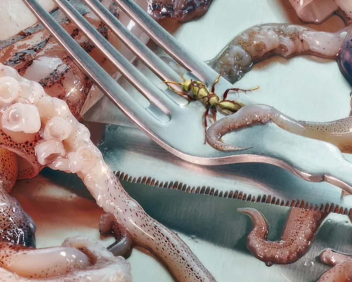 Dazze Studio - Performance & Growth Support